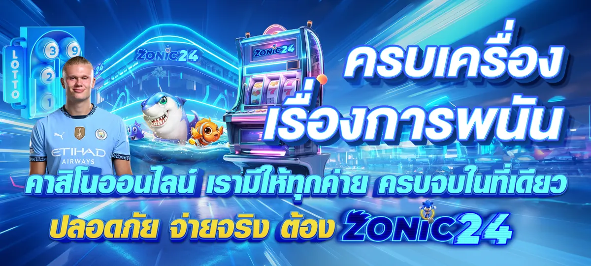 21-20_25_32-BannerZONIC24-4