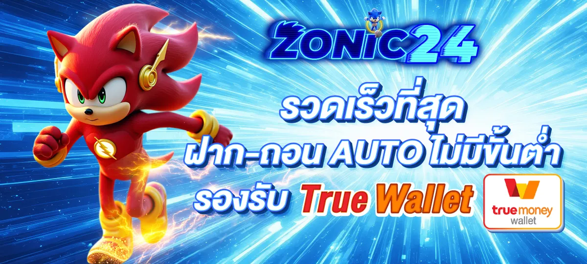 21-20_25_33-BannerZONIC24-51